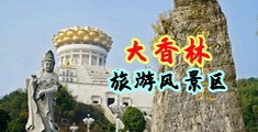 插入嫩B在线视频中国浙江-绍兴大香林旅游风景区